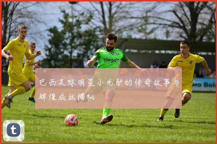 巴西足球明星小毛驴的传奇故事与辉煌成就揭秘