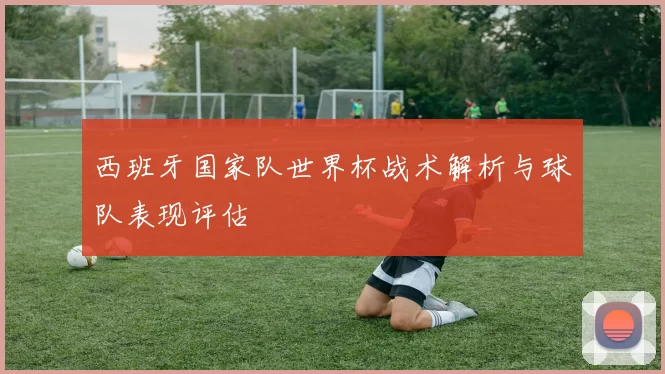 西班牙国家队世界杯战术解析与球队表现评估