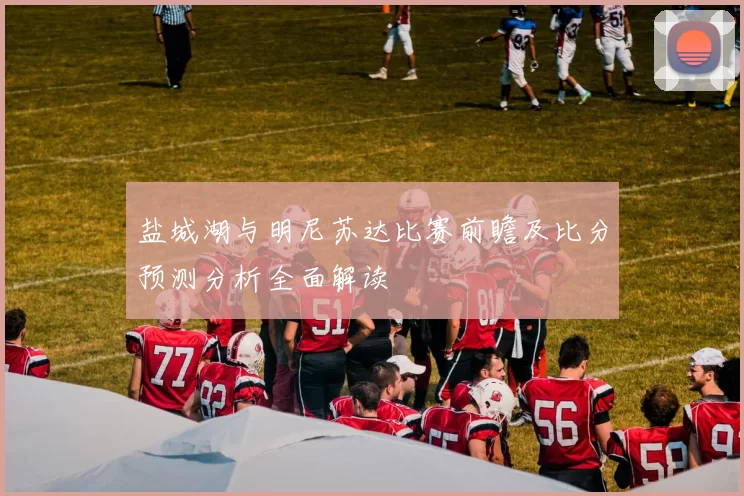 盐城湖与明尼苏达比赛前瞻及比分预测分析全面解读