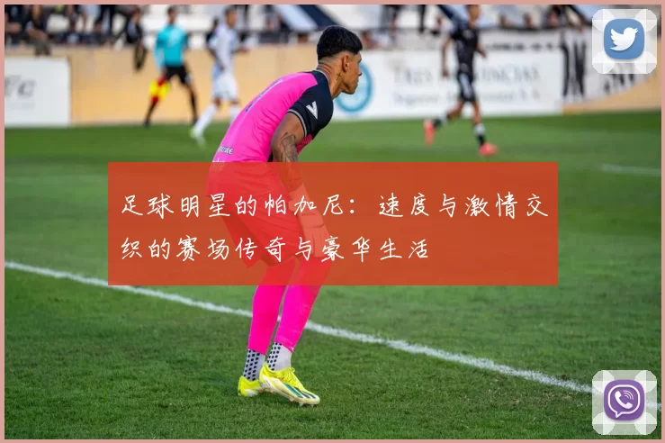 足球明星的帕加尼：速度与激情交织的赛场传奇与豪华生活
