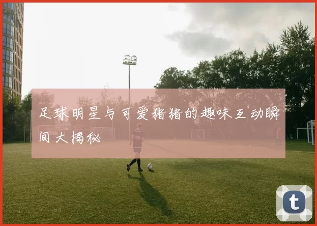 足球明星与可爱猪猪的趣味互动瞬间大揭秘