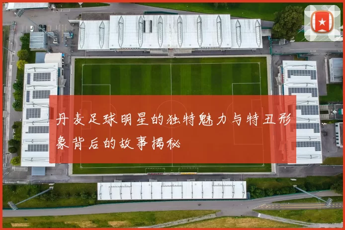 丹麦足球明星的独特魅力与特丑形象背后的故事揭秘