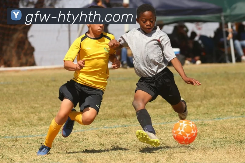 多媒体互动体验